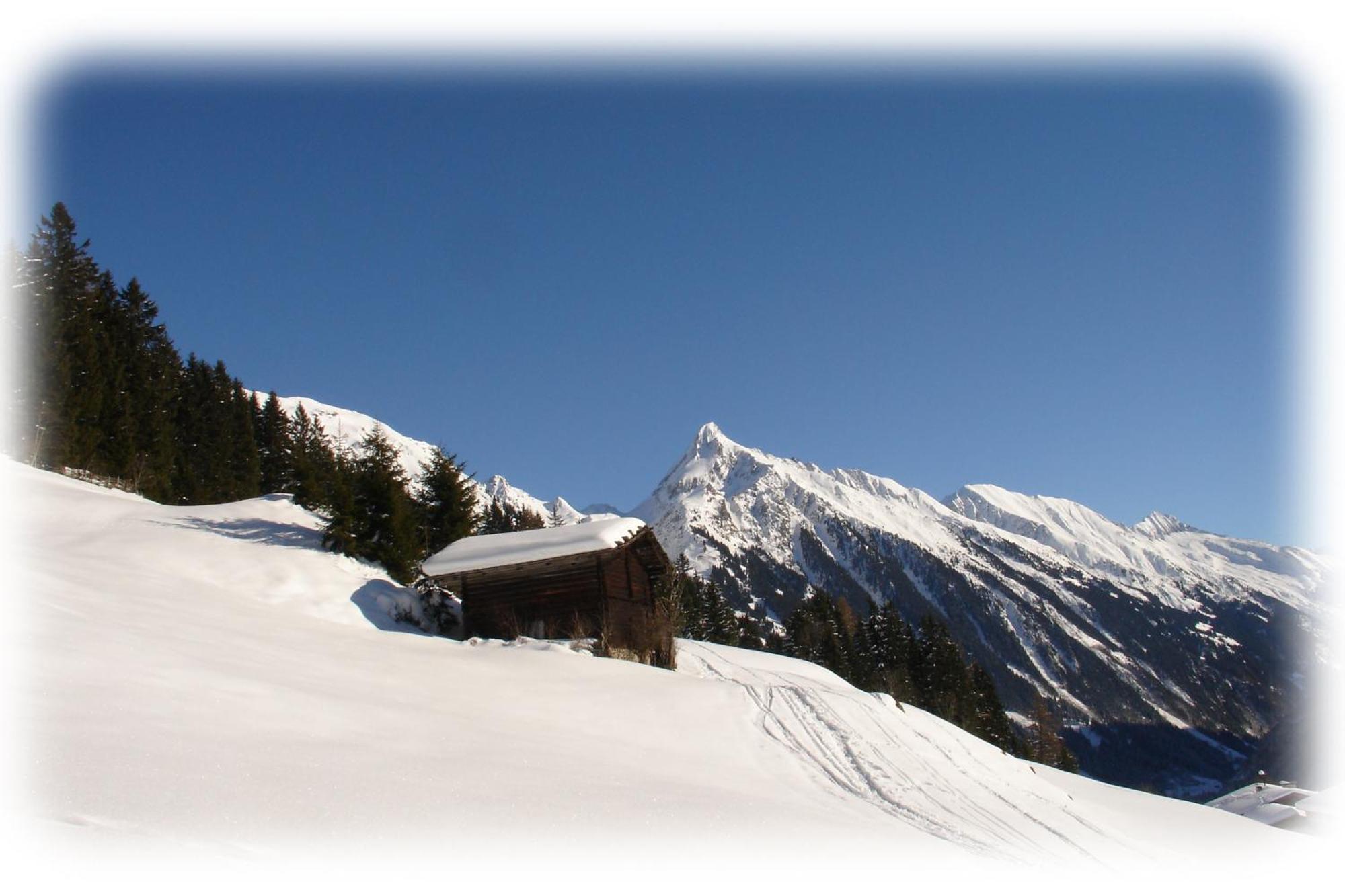 Ferienwohnungen Kroll - Appartements Viktoria Und Landhaus Maria Mayrhofen Eksteriør bilde